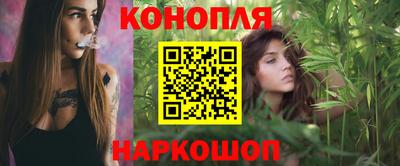 спайс Гатчина