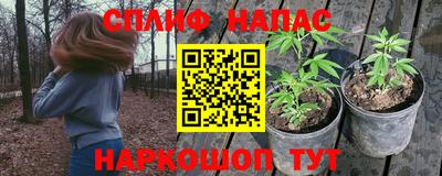 спайс Гатчина